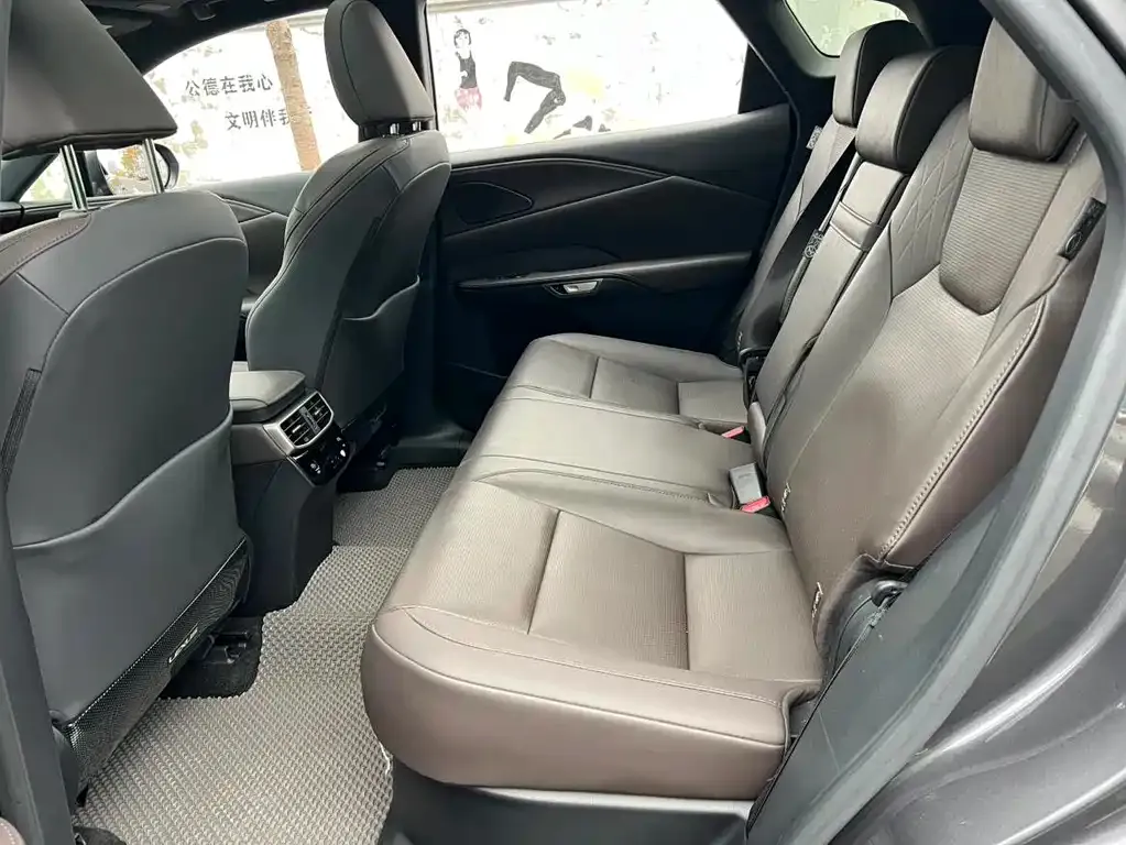 Lexus RX New Energy 2023 из CN, фото 6