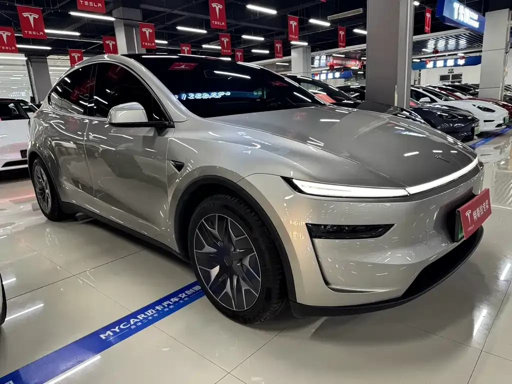 Tesla Model Y L 2025 из CN, фото 9