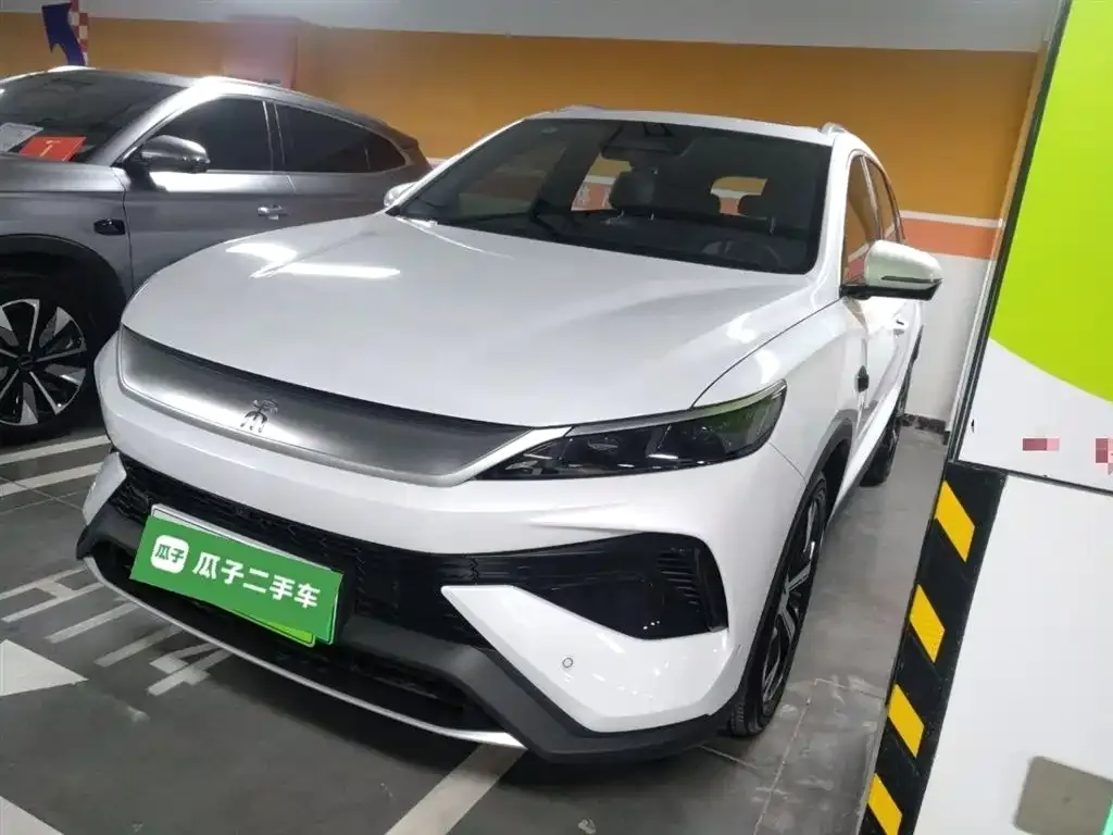 BYD Pro New Energy 2025 из CN, фото 2