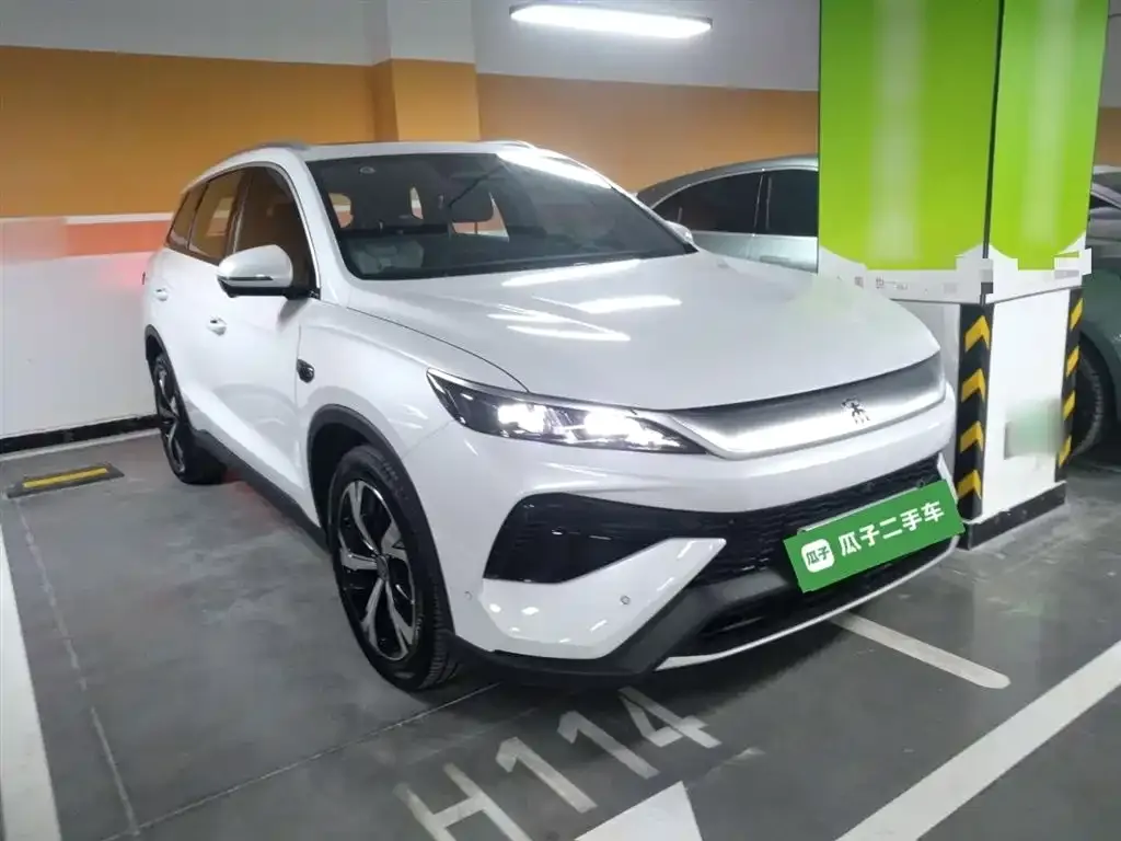 BYD Pro New Energy 2025 из CN, фото 3