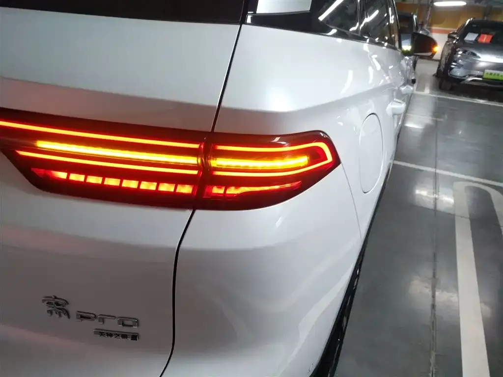 BYD Pro New Energy 2025 из CN, фото 4