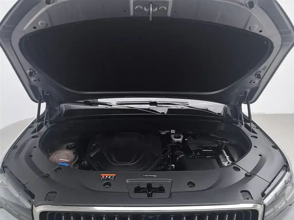 Geely Xingyue L 2021 из CN, фото 3