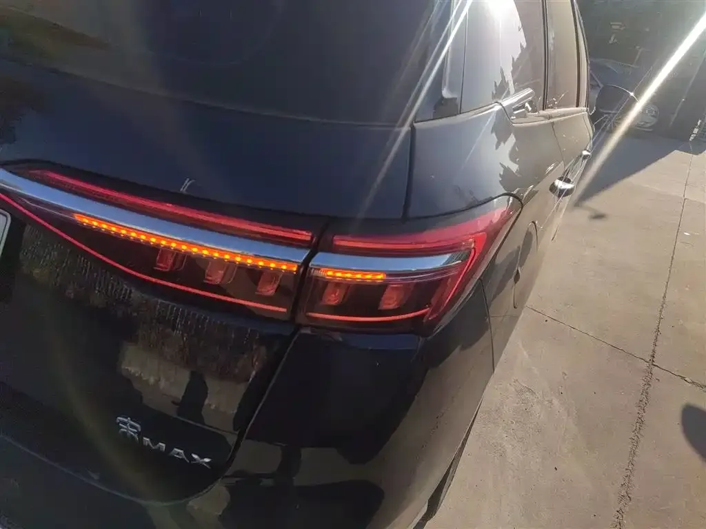 BYD MAX New Energy 2022 из CN, фото 4
