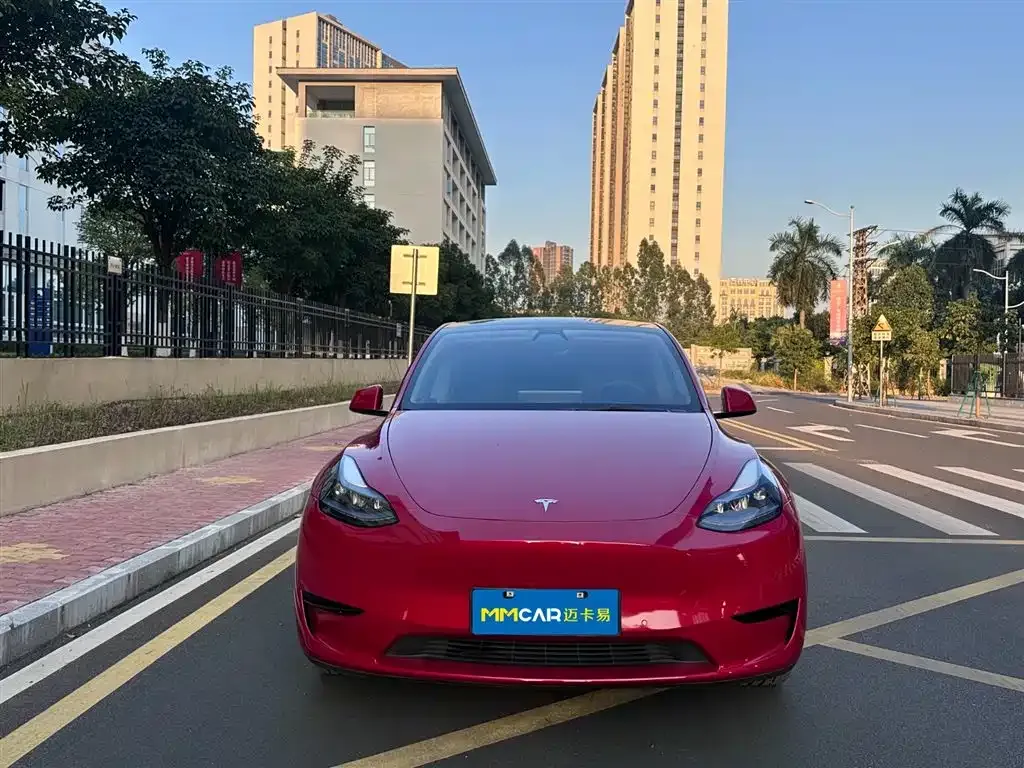Tesla Model Y — фото 2