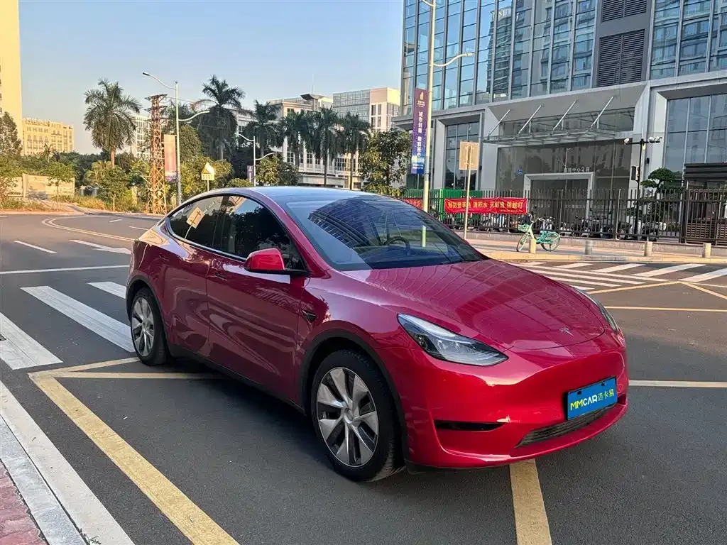 Tesla Model Y — фото 3