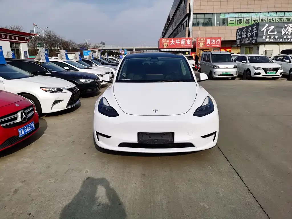 Tesla Model Y 2021 из CN, фото 1
