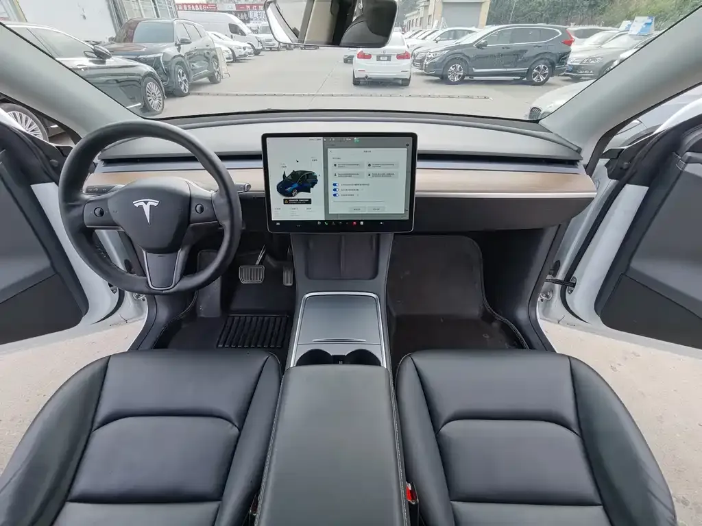 Tesla Model Y 2021 из CN, фото 10