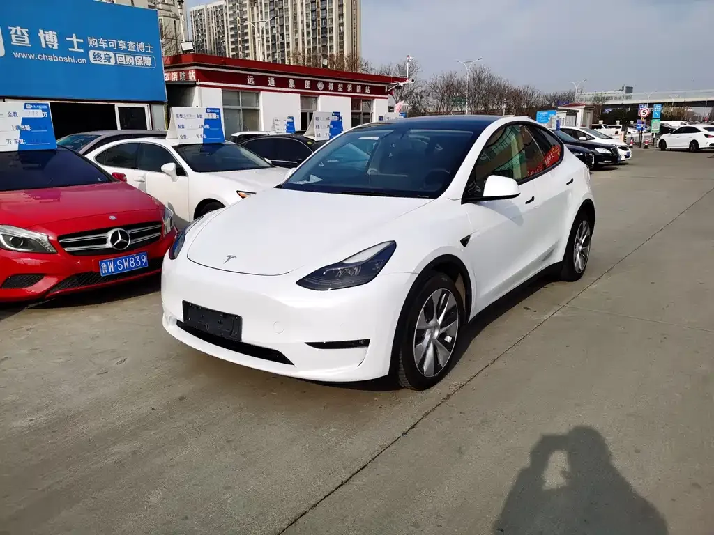 Tesla Model Y 2021 из CN, фото 2