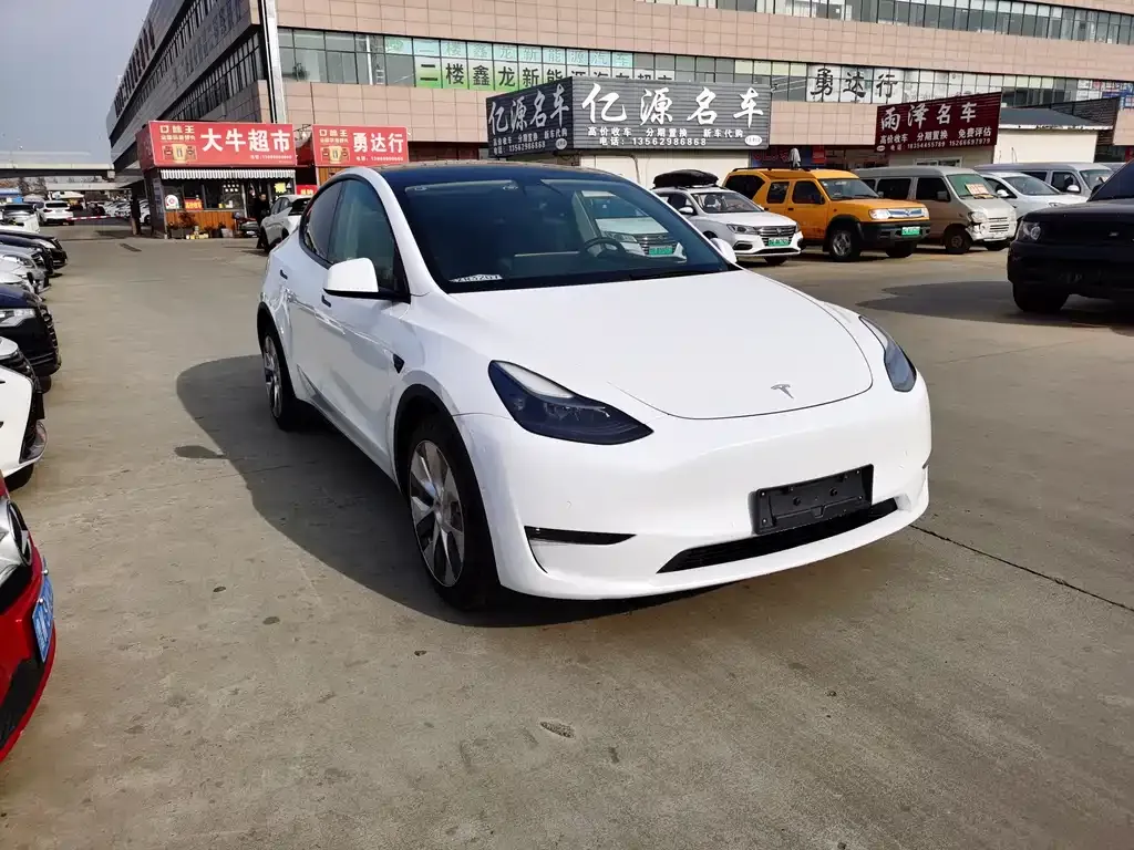 Tesla Model Y 2021 из CN, фото 3