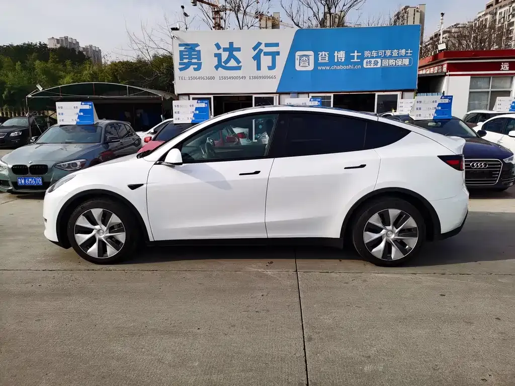 Tesla Model Y 2021 из CN, фото 4