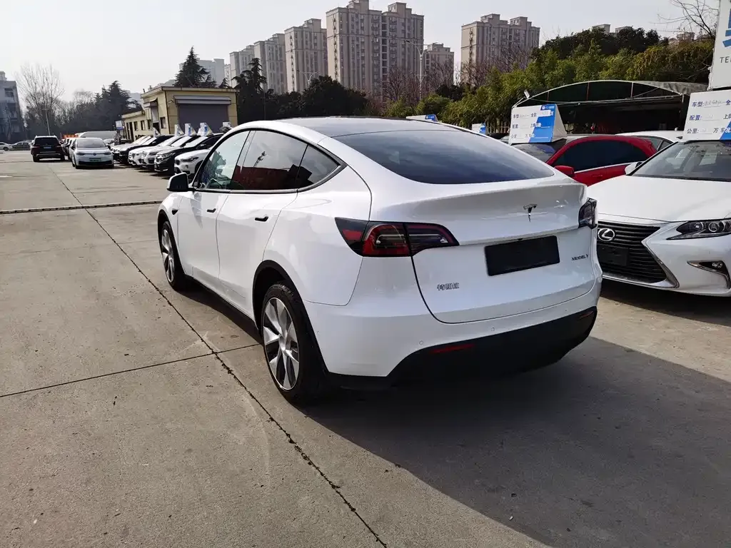 Tesla Model Y 2021 из CN, фото 6