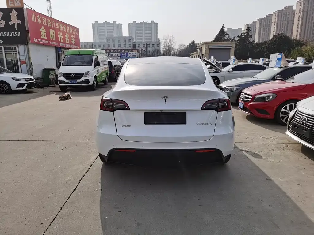 Tesla Model Y 2021 из CN, фото 7