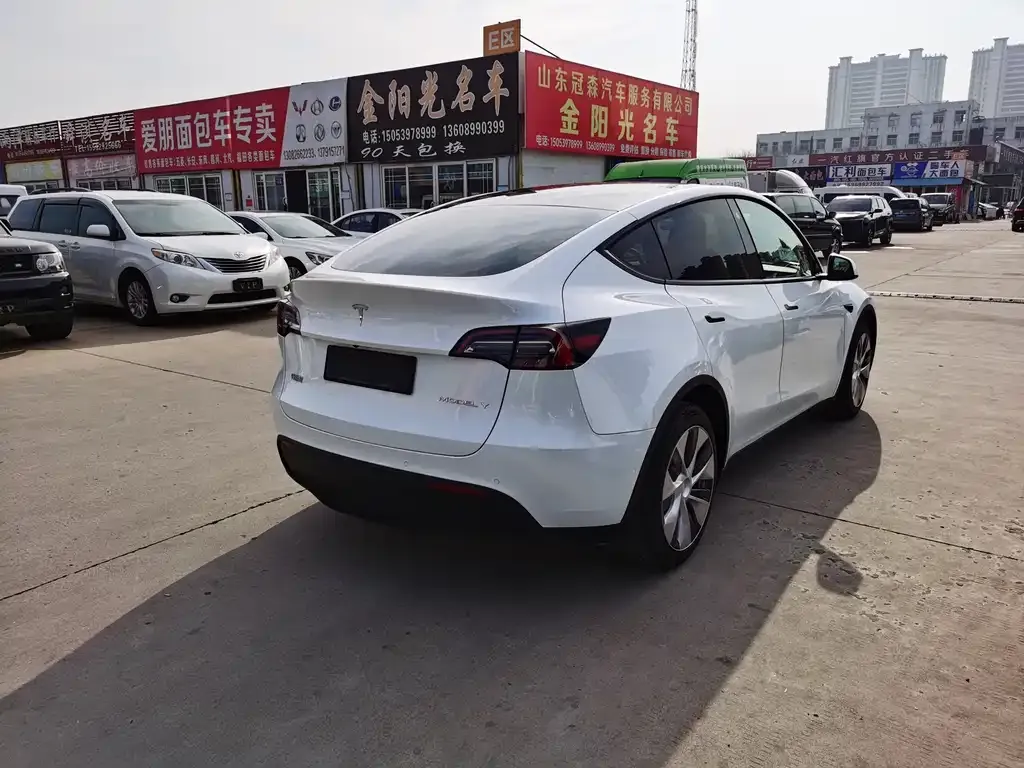 Tesla Model Y 2021 из CN, фото 8