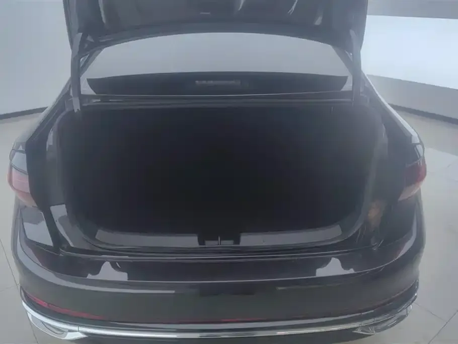 Volkswagen Sagitar 2024 из CN, фото 4