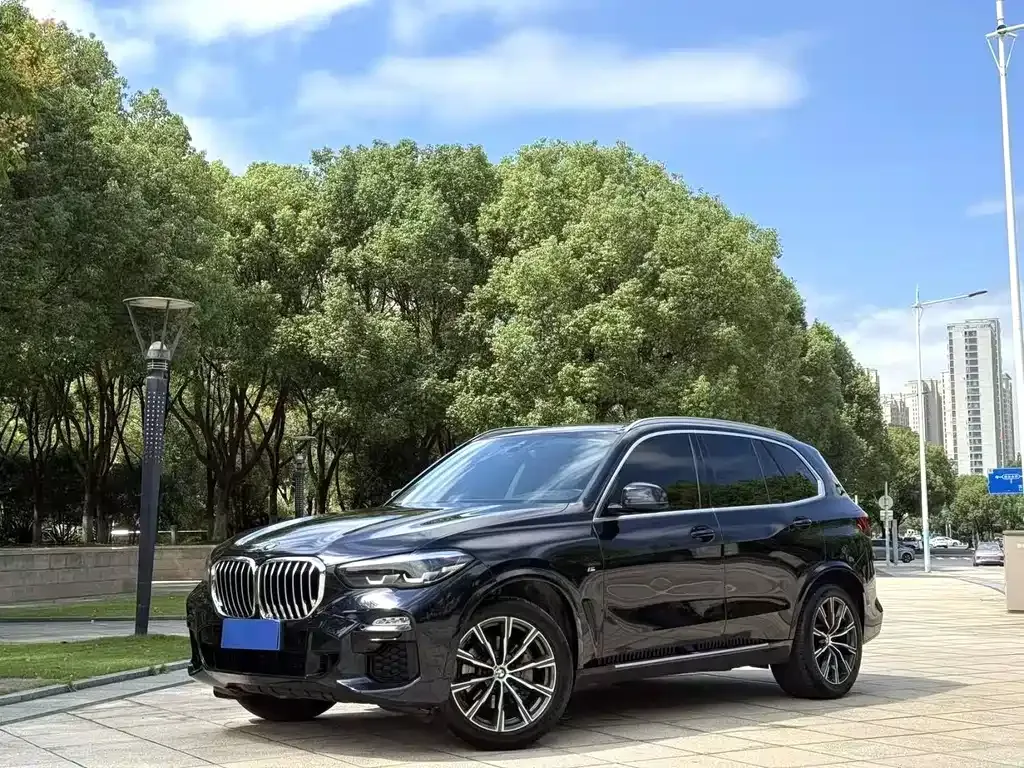 BMW X5 (Import) 2021 из CN, фото 1