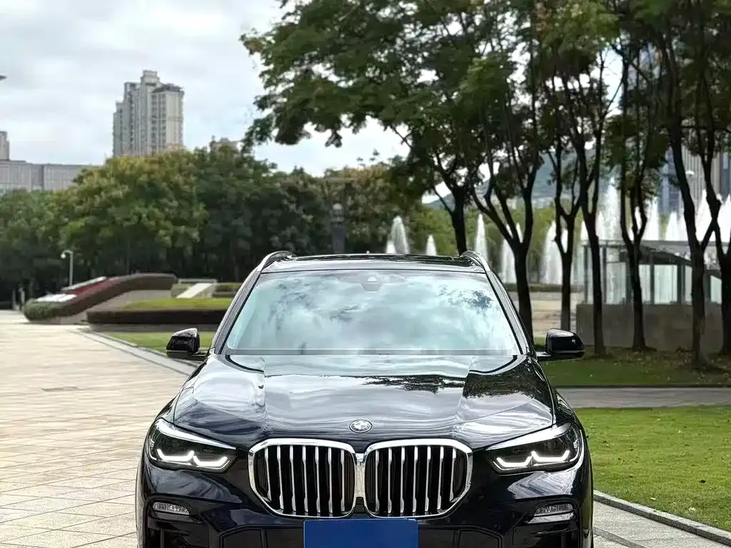 BMW X5 (Import) 2021 из CN, фото 8