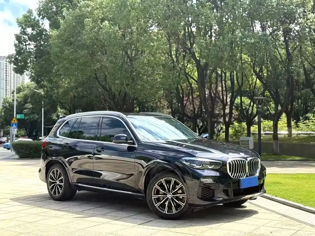 BMW X5 (Import) 2021 из CN, фото 9