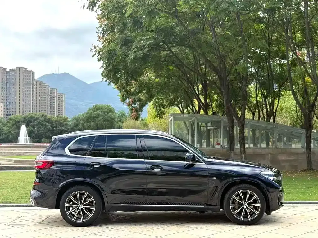 BMW X5 (Import) 2021 из CN, фото 4