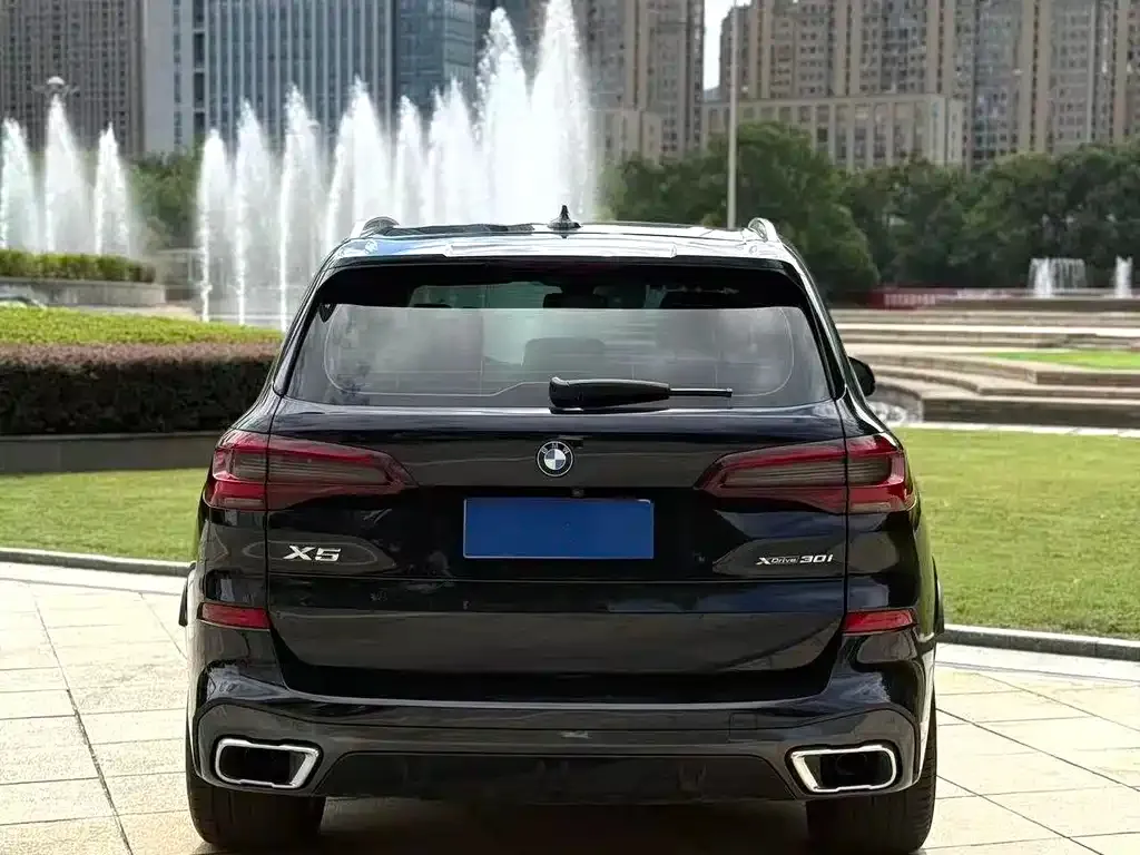 BMW X5 (Import) 2021 из CN, фото 7