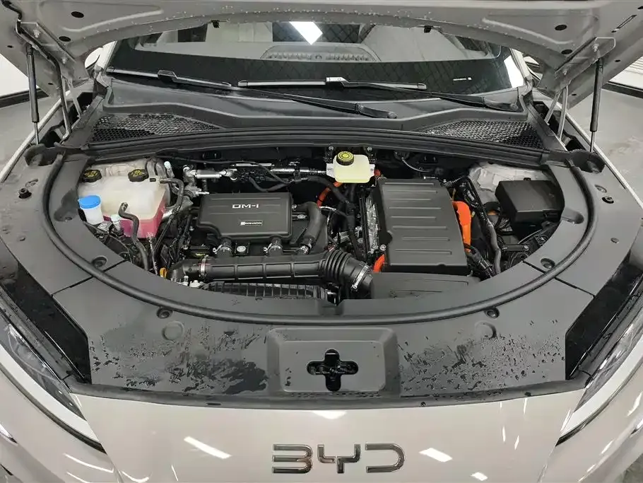 BYD PLUS New Energy 2025 из CN, фото 10