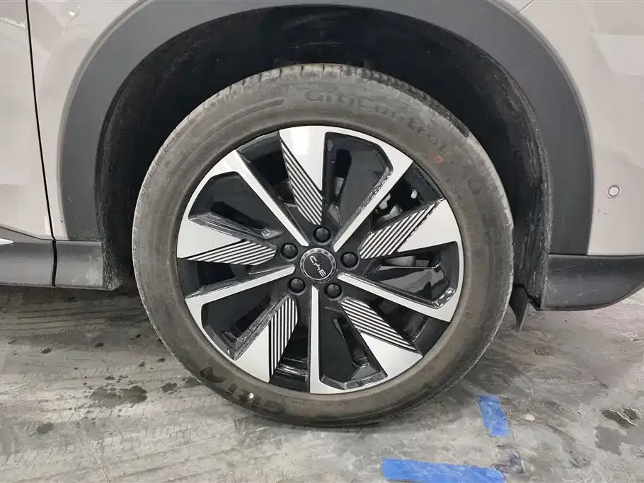 BYD PLUS New Energy 2025 из CN, фото 9