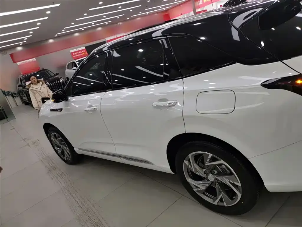 Hongqi HS3 PHEV 2024 из CN, фото 10