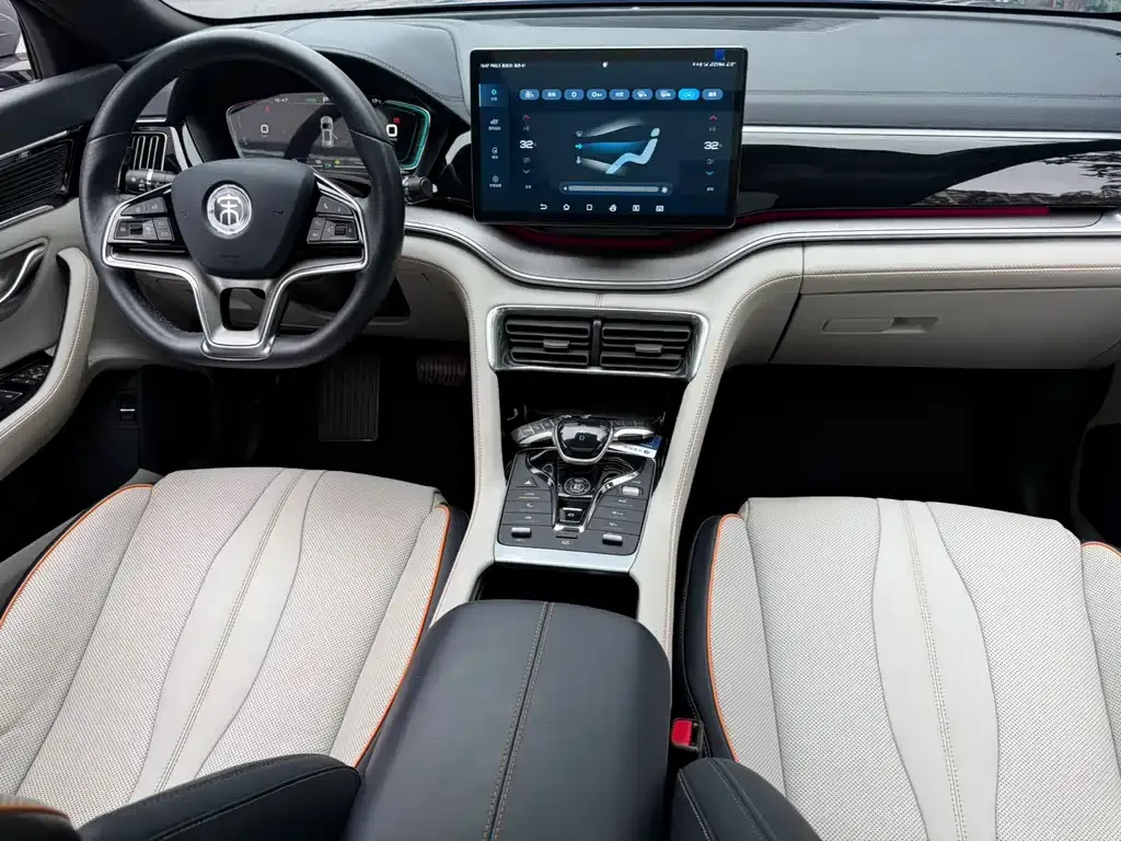BYD PLUS New Energy — фото 4