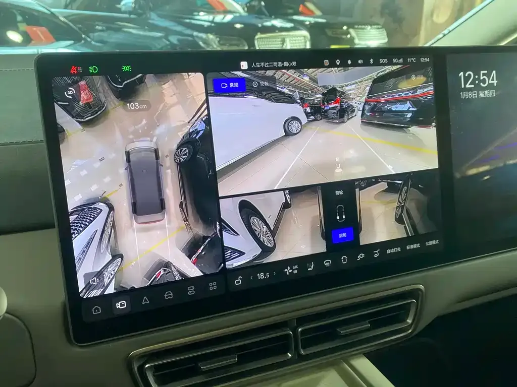 Li Auto MEGA 2025 из CN, фото 7