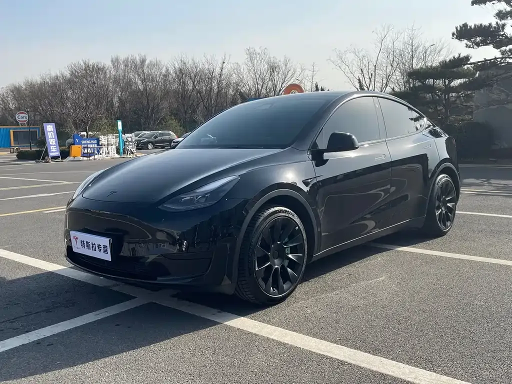 Tesla Model Y 2022 из CN, фото 1