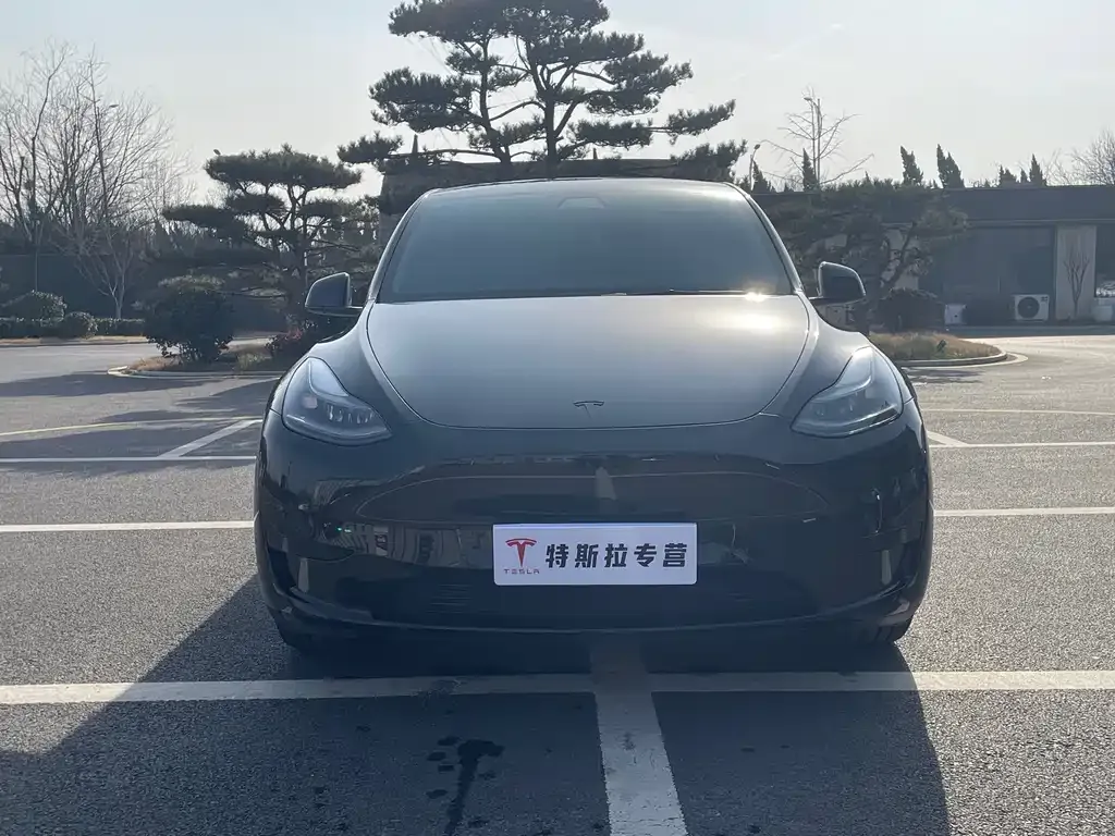 Tesla Model Y 2022 из CN, фото 2