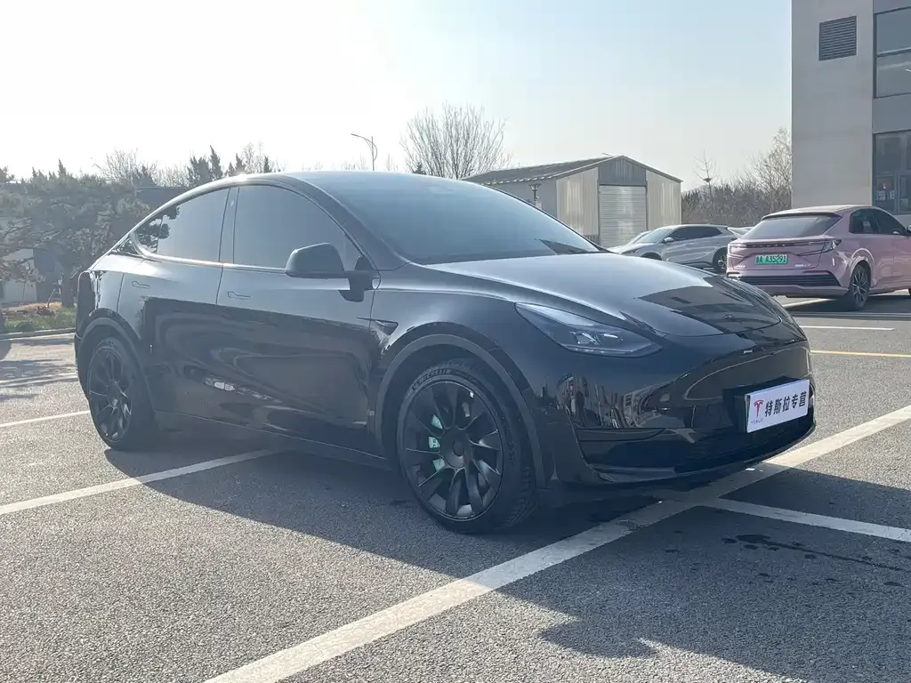 Tesla Model Y 2022 из CN, фото 3