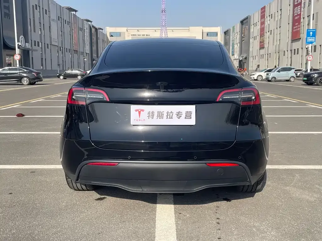 Tesla Model Y 2022 из CN, фото 8