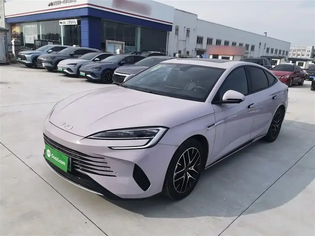 BYD Seal 07 DM-i 2024 из CN, фото 2