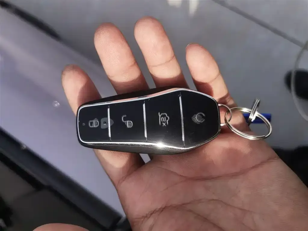 BYD Seal 07 DM-i 2024 из CN, фото 9