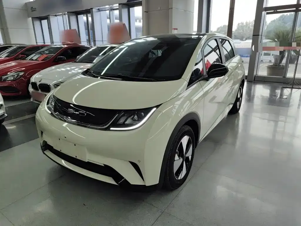 BYD Dolphin 2024 из CN, фото 1