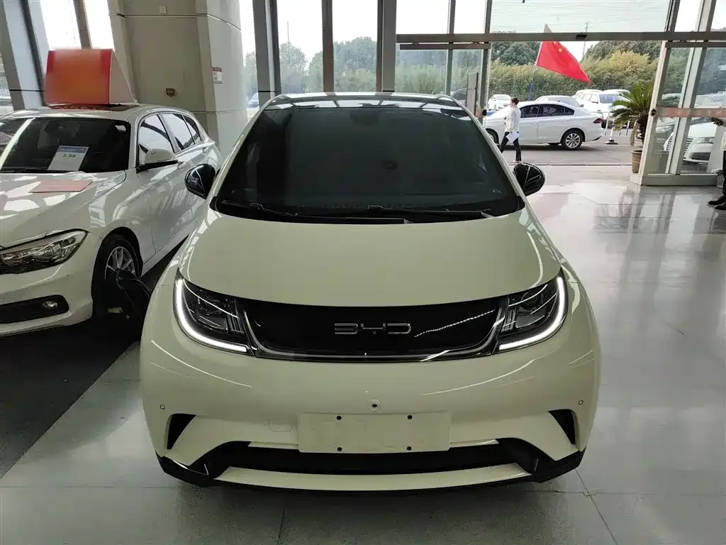 BYD Dolphin 2024 из CN, фото 3