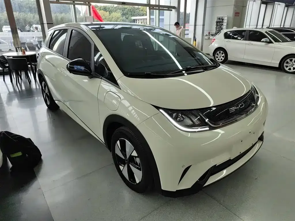 BYD Dolphin 2024 из CN, фото 4