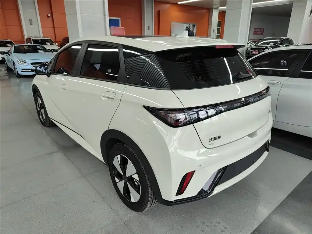 BYD Dolphin 2024 из CN, фото 5