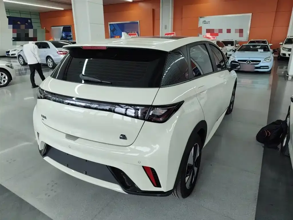 BYD Dolphin 2024 из CN, фото 7