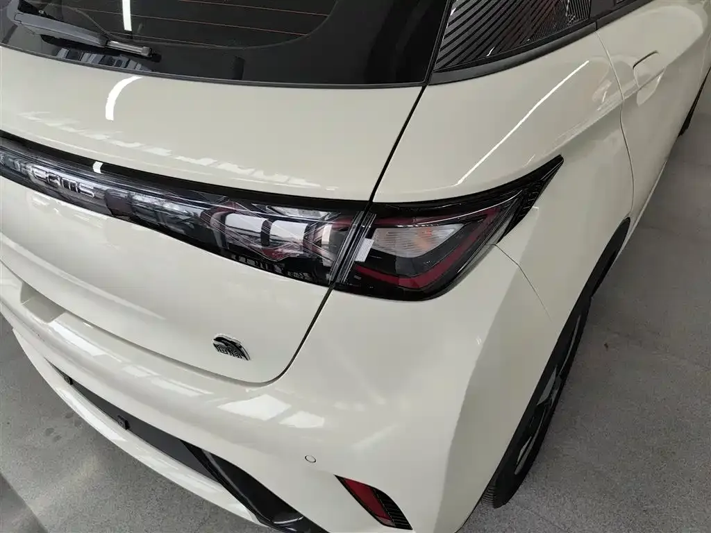 BYD Dolphin 2024 из CN, фото 8