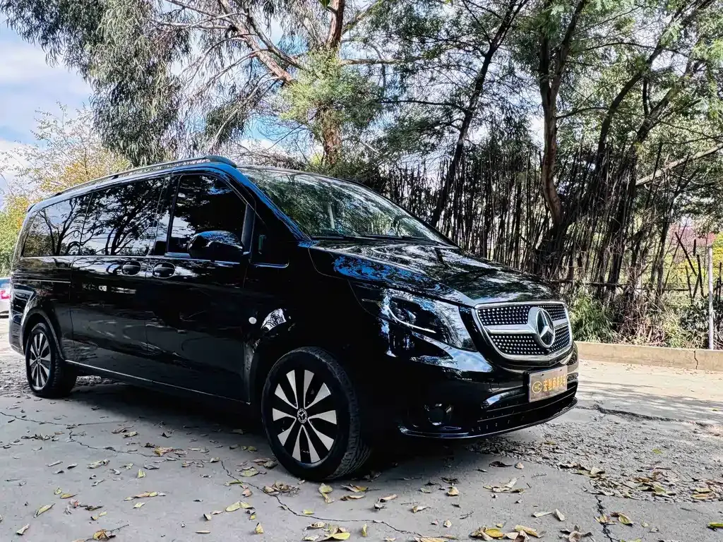 Mercedes-Benz Vito 2022 из CN, фото 6