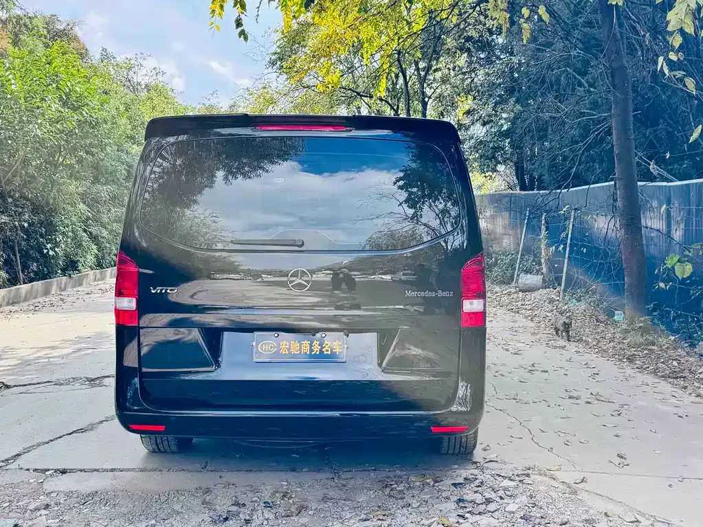 Mercedes-Benz Vito 2022 из CN, фото 5