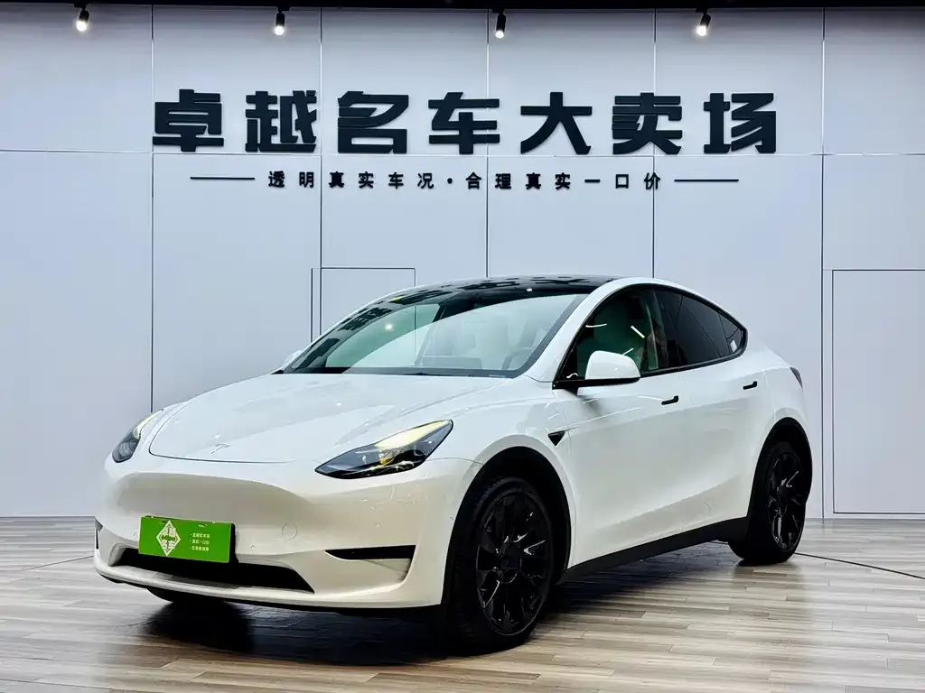 Tesla Model Y 2021 из CN, фото 1