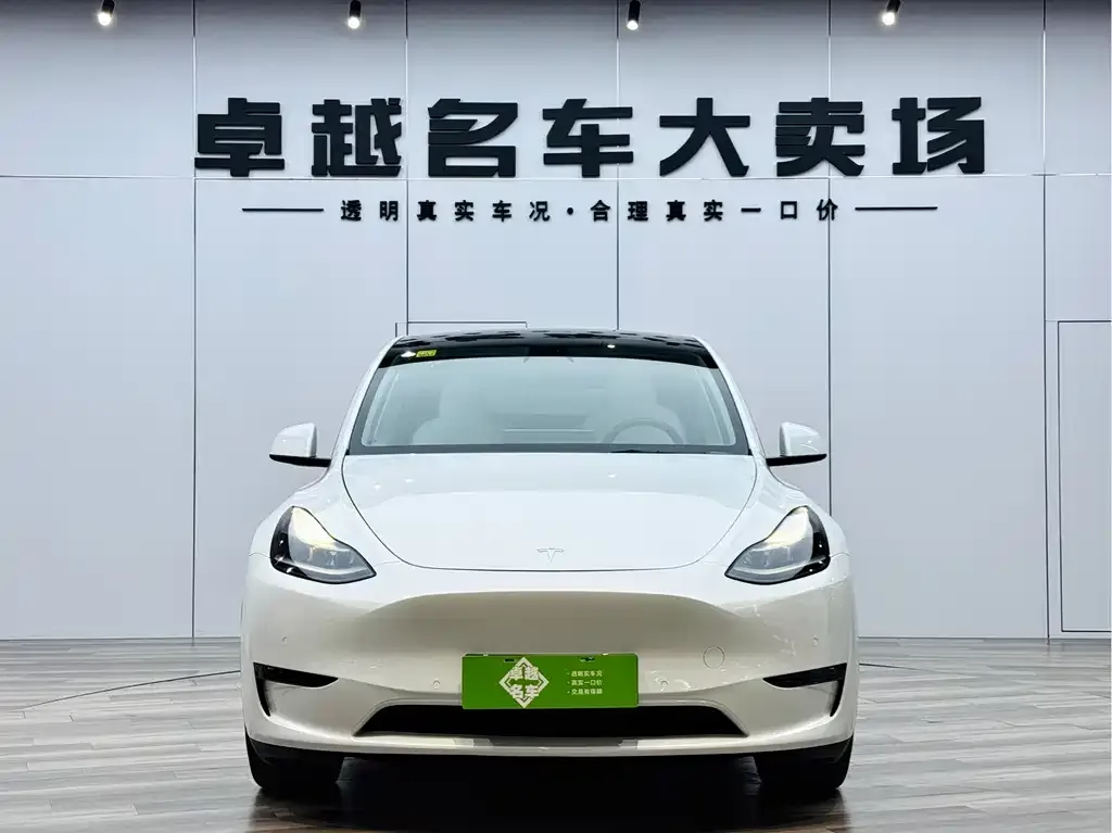 Tesla Model Y 2021 из CN, фото 7
