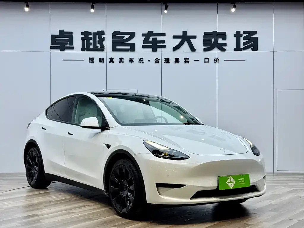 Tesla Model Y 2021 из CN, фото 8
