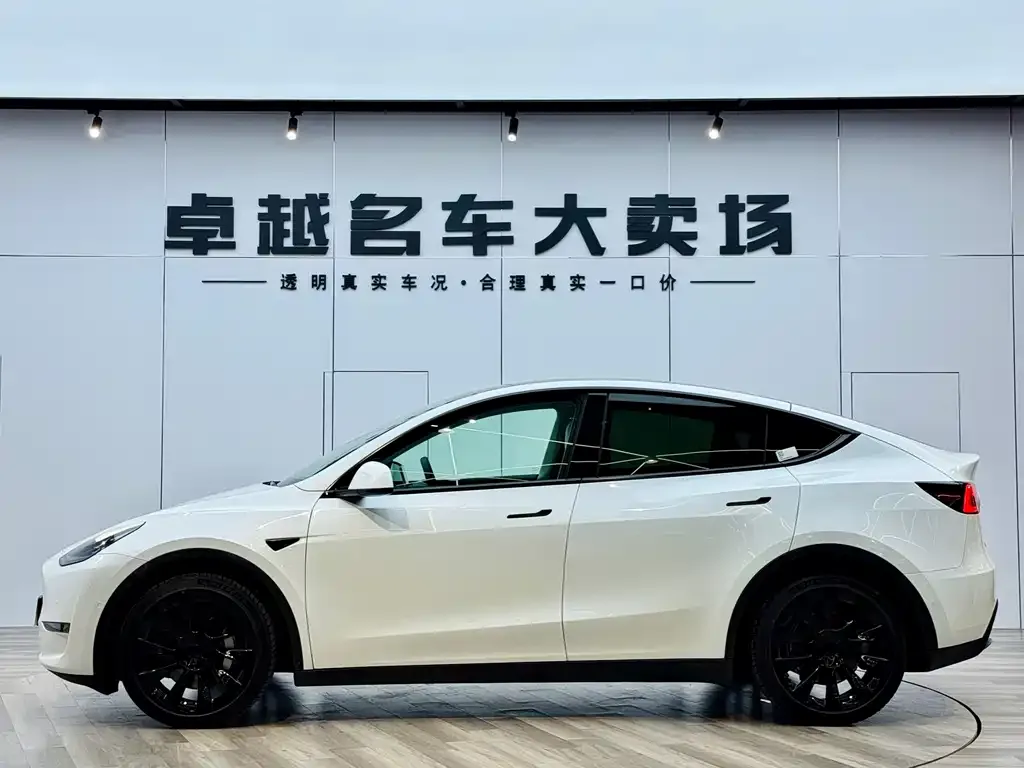 Tesla Model Y 2021 из CN, фото 4