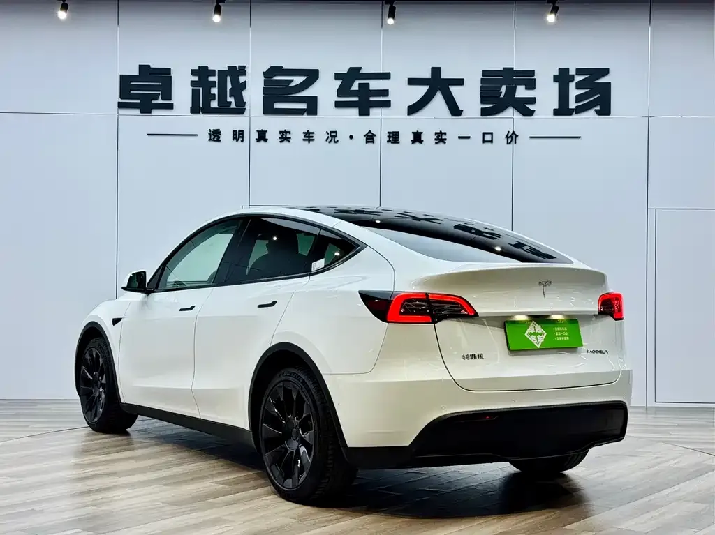 Tesla Model Y 2021 из CN, фото 10
