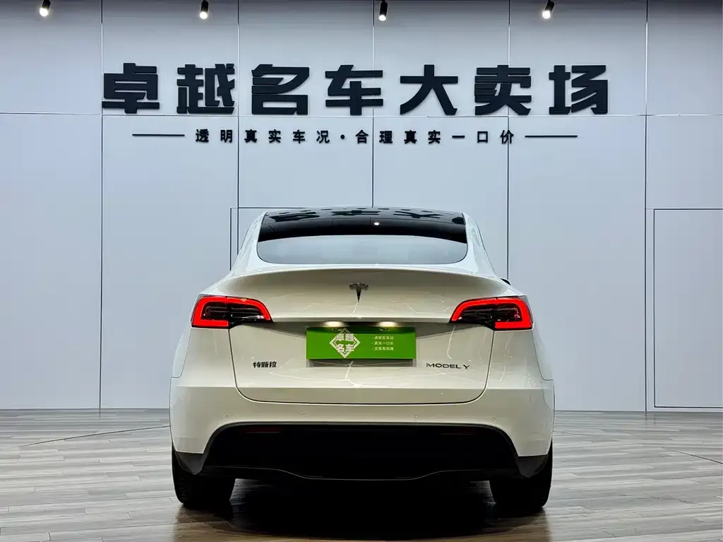 Tesla Model Y 2021 из CN, фото 6
