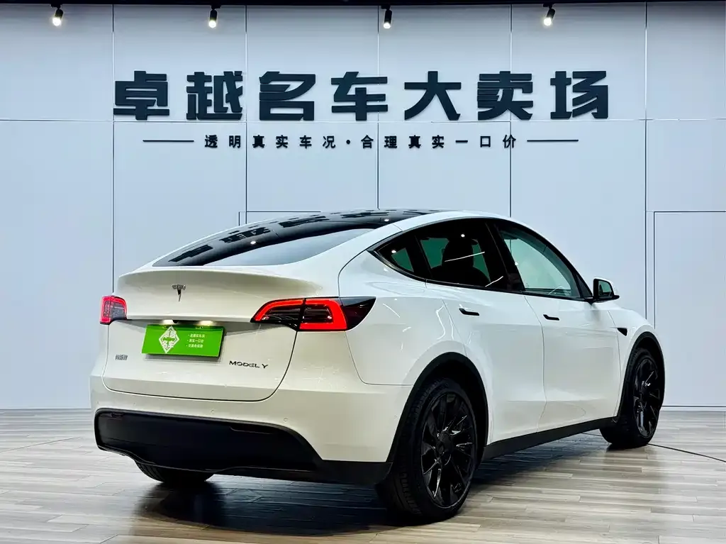 Tesla Model Y 2021 из CN, фото 5
