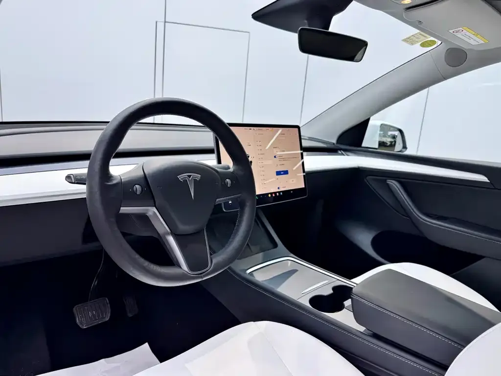 Tesla Model Y 2021 из CN, фото 2